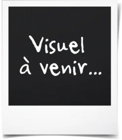 Ingenuity Baby Babywippe Cuddle Lamb Babywippen Wippen Schaukel Babywippe Babyschaukel Kinderschauel Elektrische Wippe Elektrowippe Räumungsverkauf -Barbie Store 17acac3ef4e78ca6edfda9c0412ab1d3