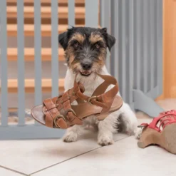 Relaxdays Graues Absperrgitter 70 Cm -Barbie Store 4d3379d3644a0bc43311413a2f21dbd4