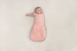 ErgoPouch Pucksack Baby 4 Jahreszeiten Für 0-3 Monate - Berries - TOG 1.0 - Babyschlafsack, Schlafsack -Barbie Store 9a134bd62af3dd61fbe05fc46a4c9605