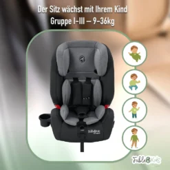 FableKids NALA Autokindersitz Autositz Kinderautositz Mit Isofix 9-36kg Gruppe 1+2+3 ECE Grau -Barbie Store ee17103f88d7c22da0214e86adcd6c73